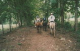 rutas a caballo asturias,rutas a caballo en asturias picos de europa.hipico,hipica